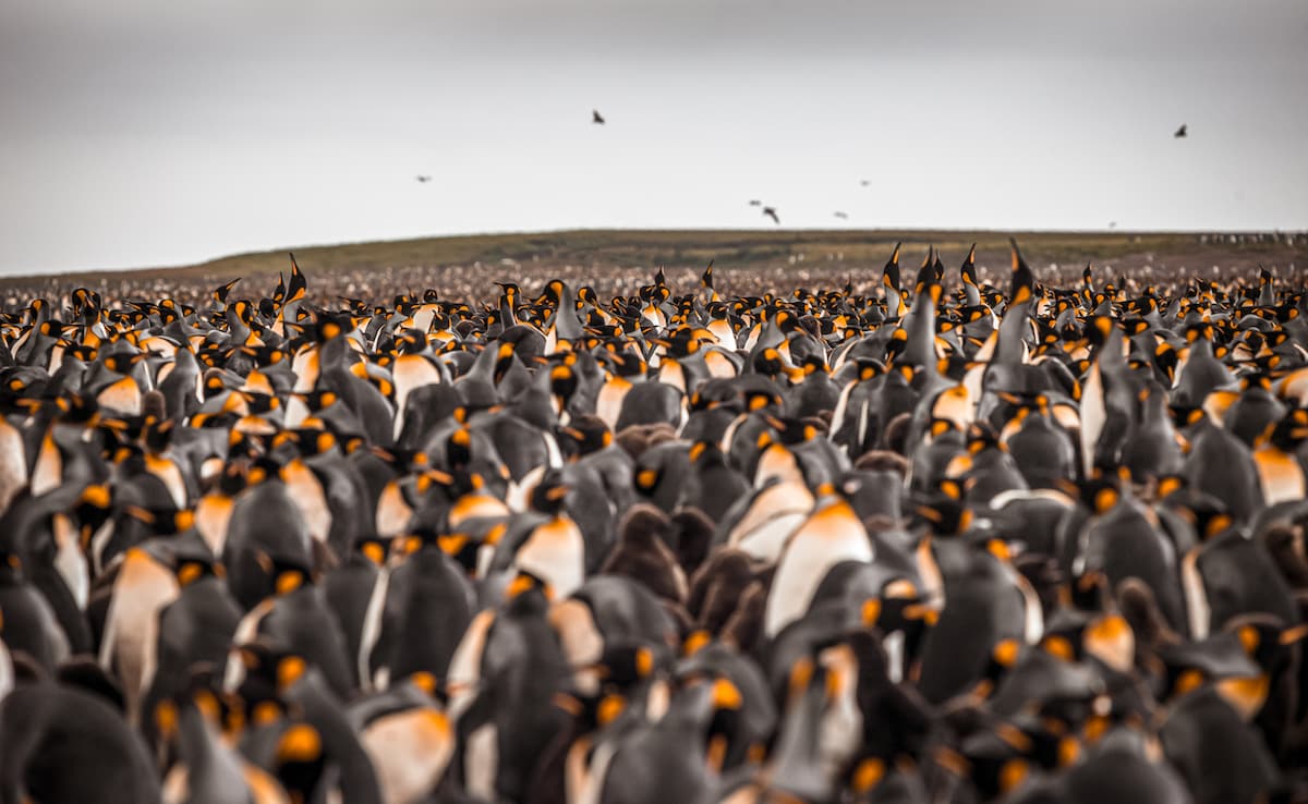 Photo: iStock Photo: iStock