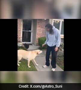 Watch: Astronaut Sunita Williams Reunites With Her Dogs Upon ...