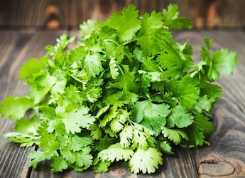 Once A Freebie, How Coriander Became India's Most Ordered Vegetable In 2025