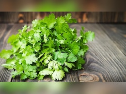 स्वास्थ्य के लिए वरदान है धनिया, सिरदर्द और फैटी लीवर जैसी समस्या से मिलती है राहत  स्वास्थ्य के लिए वरदान है धनिया, सिरदर्द और फैटी लीवर जैसी समस्या से मिलती है राहत