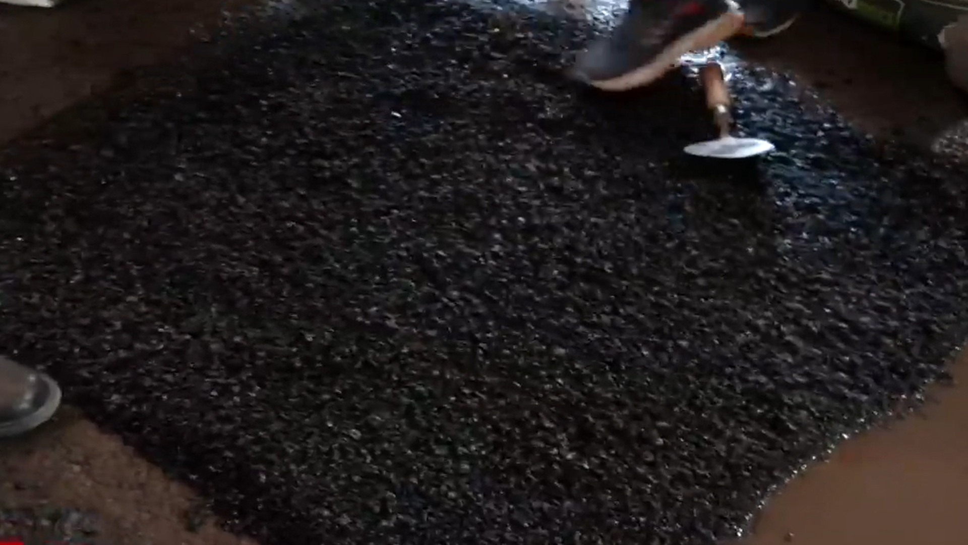 Delhi Government Begins Campaign Against Potholes