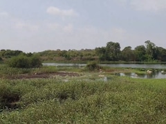 Telangana Government's New Land Transformation Policy In Trouble