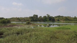 Telangana Government's New Land Transformation Policy In Trouble