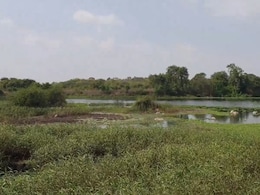 Hyderabad's Kancha Gachibowli Row: Why Students, Environmentalists Are Protesting