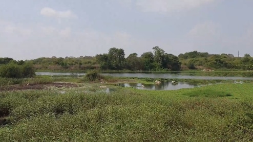 Telangana Government's New Land Transformation Policy In Trouble