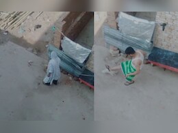 मां का दूध पी रहे डॉग के पिल्ले को पति ने लात मारकर गेंद की तरह उछाला, पत्नी ने पीट-पीटकर मार डाला 