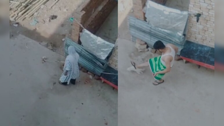 मां का दूध पी रहे डॉग के पिल्ले को पति ने लात मारकर गेंद की तरह उछाला, पत्नी ने पीट-पीटकर मार डाला 
