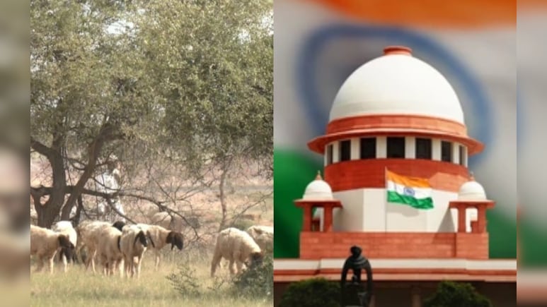सुप्रीम कोर्ट का बड़ा फैसला, ओरण भूमि की सुरक्षा और पहचान करने के लिए राजस्थान सरकार को कमिटी बनाने का दिया आदेश