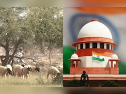 सुप्रीम कोर्ट का बड़ा फैसला, ओरण भूमि की सुरक्षा और पहचान करने के लिए राजस्थान सरकार को कमिटी बनाने का दिया आदेश सुप्रीम कोर्ट का बड़ा फैसला, ओरण भूमि की सुरक्षा और पहचान करने के लिए राजस्थान सरकार को कमिटी बनाने का दिया आदेश
