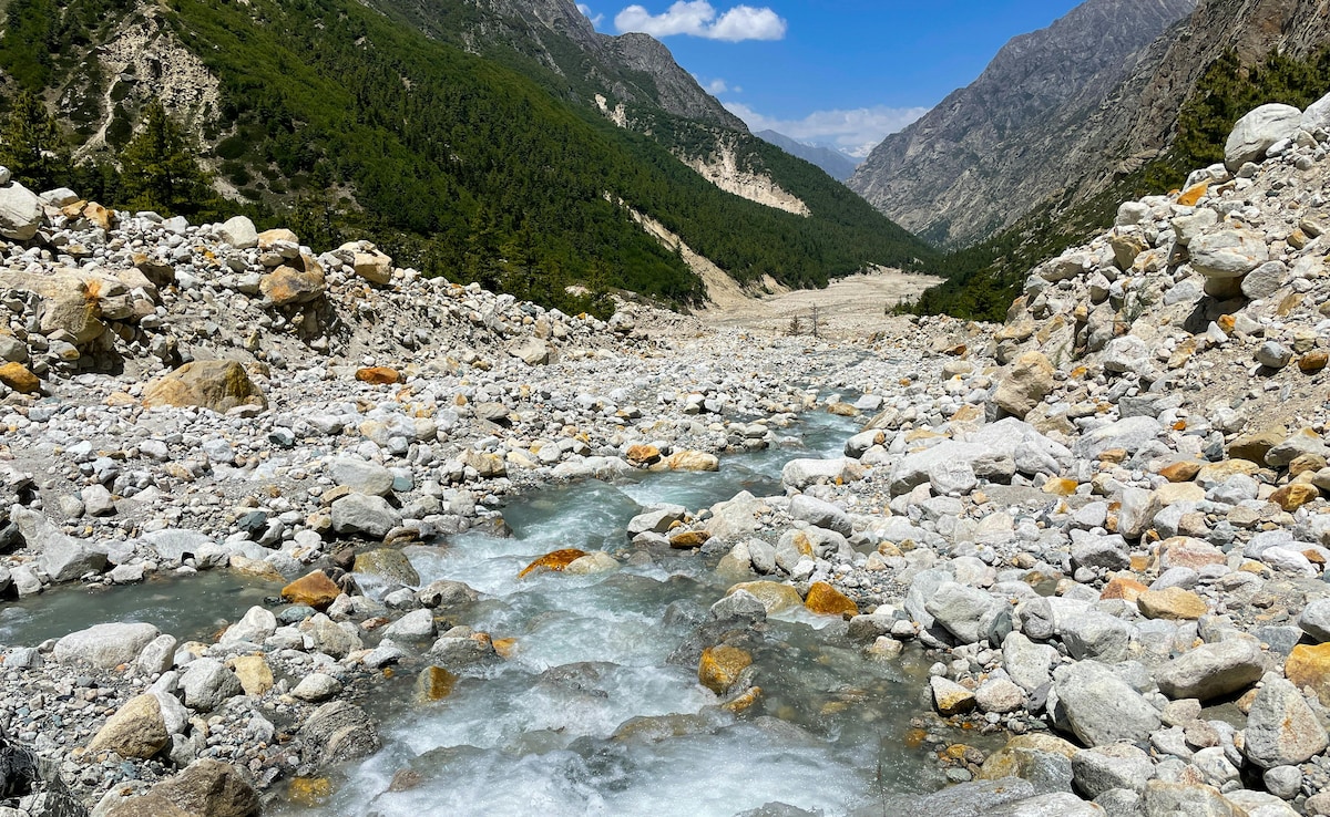 Photo: Pexels Photo: Pexels