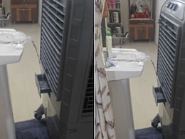 कूलर में पानी भरने के लिए नहीं करनी होगी मेहनत, शख्स ने किया तगड़ा जुगाड़, न लगेगी बाल्टी न पाइप, 3 करोड़ लोगों ने देखा कूलर में पानी भरने के लिए नहीं करनी होगी मेहनत, शख्स ने किया तगड़ा जुगाड़, न लगेगी बाल्टी न पाइप, 3 करोड़ लोगों ने देखा