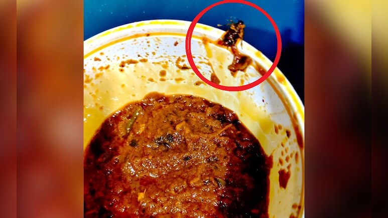 कढ़ाई पनीर मंगाया तो साथ में मिला कॉकरोच, कलेक्टर ने रेस्तरां का निरस्त किया लाइसेंस