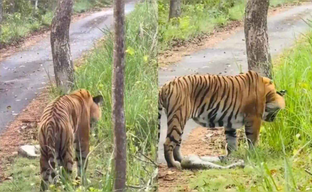 Latest and Breaking News on NDTV