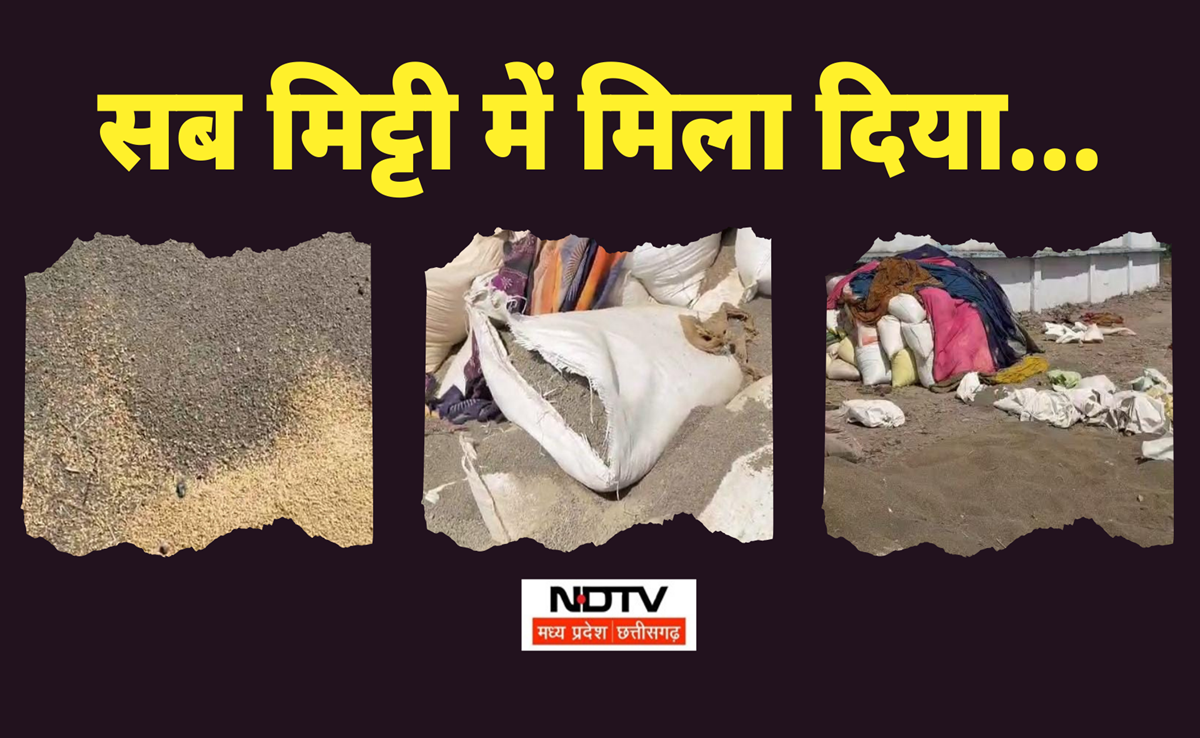 Scam: सरकारी खरीदी में घोटाला! 300 क्विंटल गेहूं में मिट्&zwnj;टी से लेकर पत्थर तक मिला डाला, अब जांच शुरू