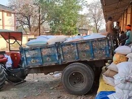 MP Gehu Kharidi: गेहूं खरीदी की धीमी पड़ी गति... 9880 किसानों ने कराया पंजीयन, मात्र 59 किसानों ने ही उपार्जन केंद्रों में बेचा गेहूं MP Gehu Kharidi: गेहूं खरीदी की धीमी पड़ी गति... 9880 किसानों ने कराया पंजीयन, मात्र 59 किसानों ने ही उपार्जन केंद्रों में बेचा गेहूं