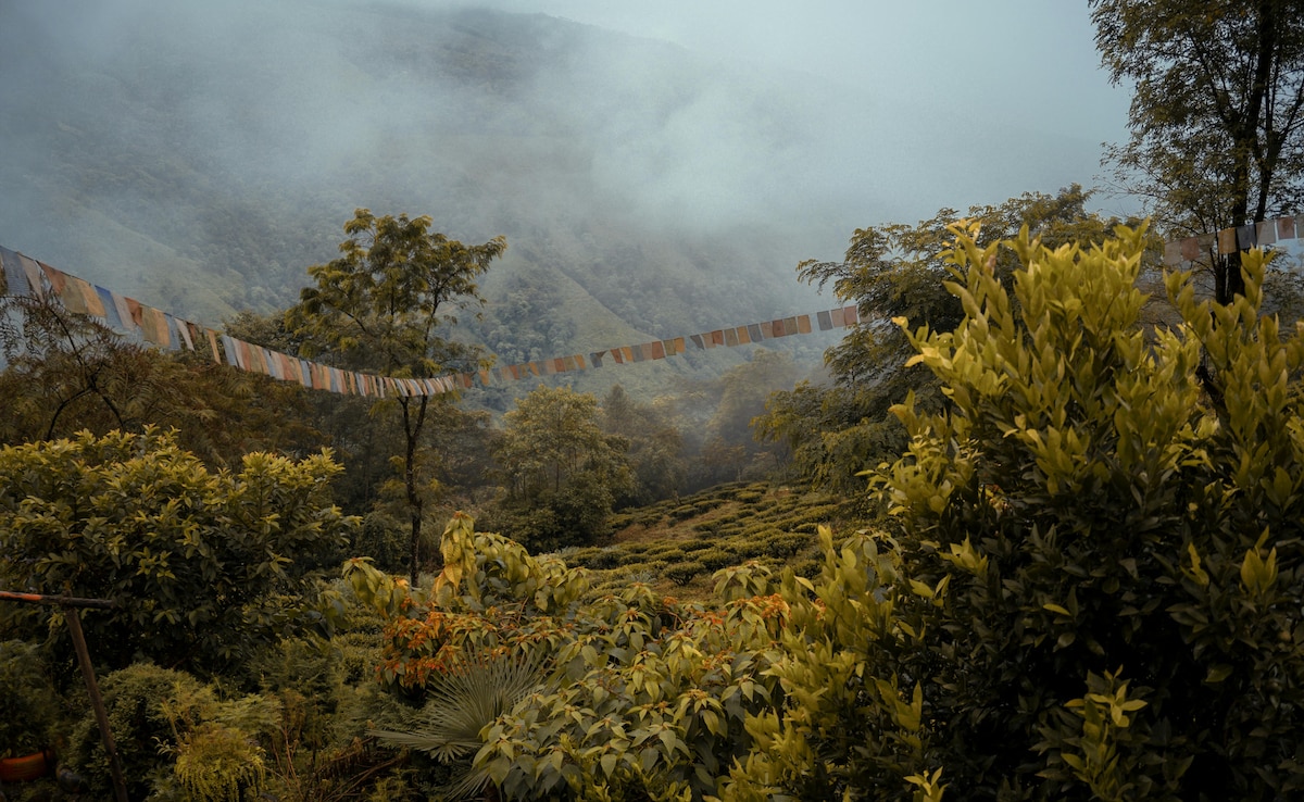 Kurseong. Foto: Pexels