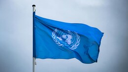 UN Climate Bank Bets On Underfunded Clean Tech In India