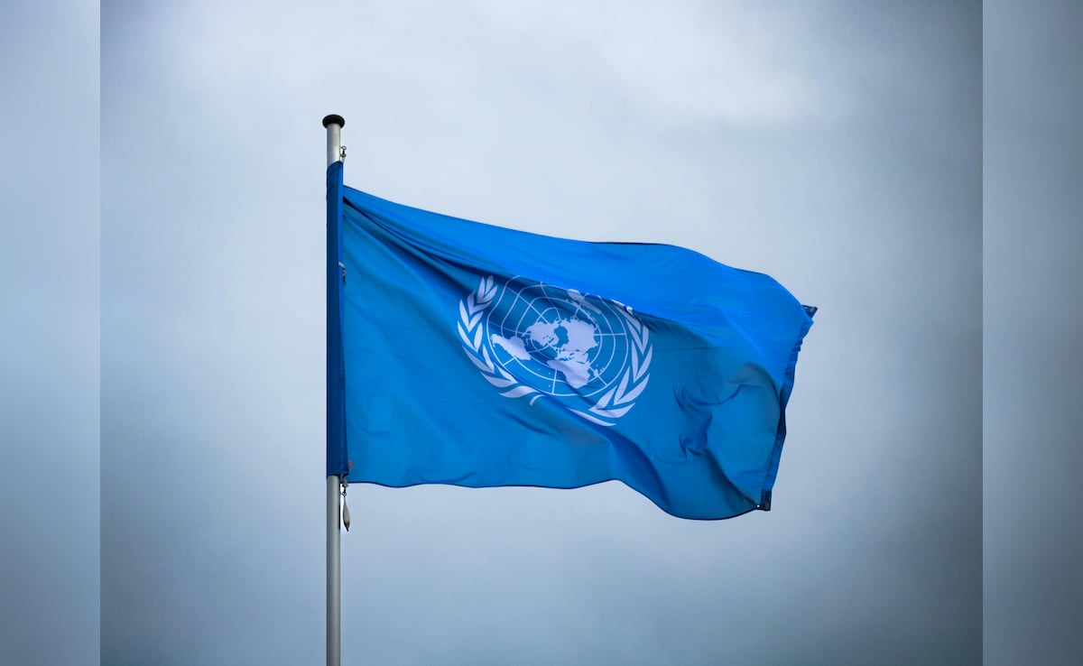 US To Start Payments Towards Billions Owed To UN 'Within Weeks': Envoy