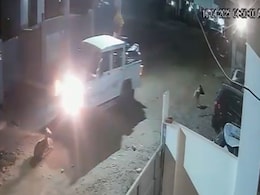 Truck Swerves To Hit Dog, Misses, Then Crushes Pregnant Canine In 2nd Try