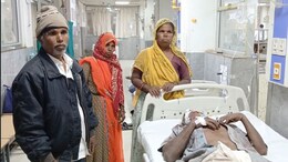 अजमेर में भालू का आतंक, 60 वर्षीय बुजुर्ग के चेहरे की खाल नोची; इलाके में दहशत का माहौल