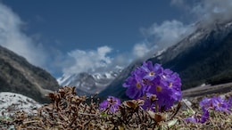 5 Breathtaking Hill Stations In Northeast India You'll Want To Visit ASAP