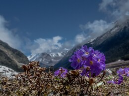 5 Breathtaking Hill Stations In Northeast India You'll Want To Visit ASAP 5 Breathtaking Hill Stations In Northeast India You'll Want To Visit ASAP