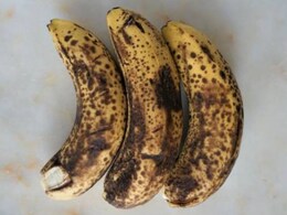 जल्दी पककर गल जाता है केला? MasterChef से जानें केले को ज्यादा दिनों तक फ्रैश कैसे रखें जल्दी पककर गल जाता है केला? MasterChef से जानें केले को ज्यादा दिनों तक फ्रैश कैसे रखें