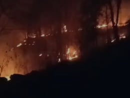 Sariska Fire: सरिस्का के जंगलों में भीषण आग, 200 हेक्टेयर एरिया जलकर खाक, वन्यजीवों पर भयंकर संकट! Sariska Fire: सरिस्का के जंगलों में भीषण आग, 200 हेक्टेयर एरिया जलकर खाक, वन्यजीवों पर भयंकर संकट!