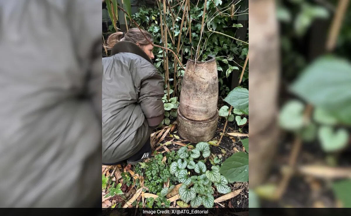 Повредена цветна саксия е продадена за Rs 56 lakh 66