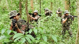 Naxalites Encounter: नेशनल पार्क के जंगल में पुलिस और नक्सलियों के बीच भीषण मुठभेड़, 3 नक्सली ढेर
