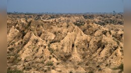 Rajasthan: धौलपुर में चंबल के बीहड़ों में ख़त्म हुआ डकैतों का आतंक, राजस्थान पुलिस ने पकड़ा आख़िरी दस्यु भगत&nbsp;
