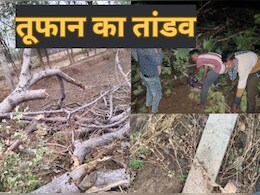 गरियाबंद में तेज तूफान से कई इलाकों में पसरा सन्नाटा, अंधेरे में डूबे 300 गांव, सड़कों पर गिरे पेड़