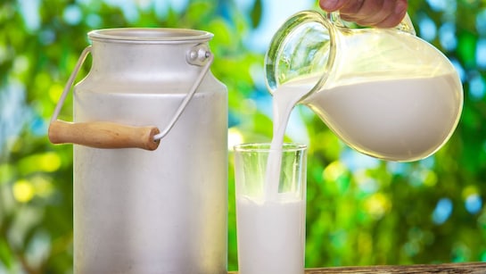 World Food Safety Day 2025: दूध, घी और मसालों की मिलावट को पहचानकर सेहत का रखें ख्याल, FSSAI ने बताया तरीका