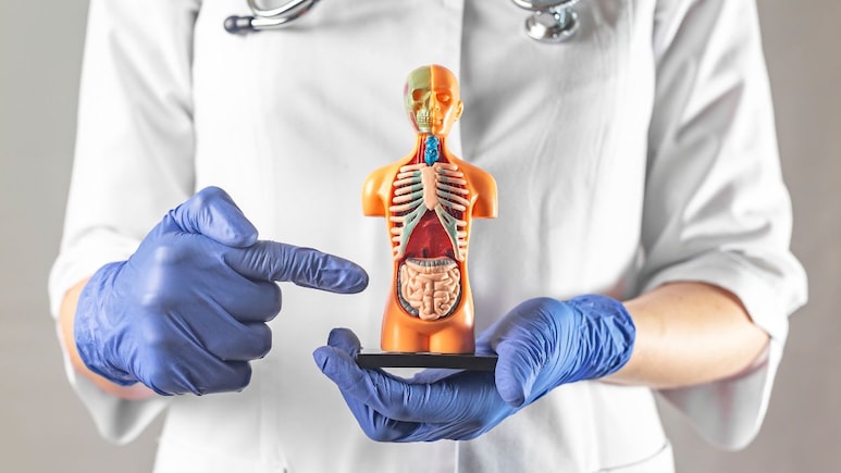 पेट में हल्के दर्द को अनदेखा ना करें, बड़ी मुसीबत का हो सकता है संकेत-ये 5 उपाय रखेंगे आंतों को फिट