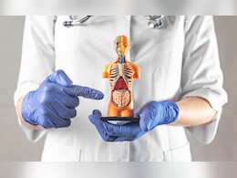 आतड्यांमध्ये 5 कारणांमुळे जमा होते घाण आणि पचनप्रक्रिया बिघडते, जाणून घ्या आतड्यांच्या स्वच्छतेसाठी प्रभावी उपाय आतड्यांमध्ये 5 कारणांमुळे जमा होते घाण आणि पचनप्रक्रिया बिघडते, जाणून घ्या आतड्यांच्या स्वच्छतेसाठी प्रभावी उपाय