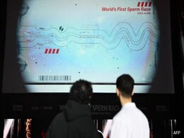 'Fearing Future Without Babies', Students 'Race' Sperm In Los Angeles 'Fearing Future Without Babies', Students 'Race' Sperm In Los Angeles