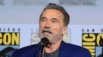 Arnold Schwarzenegger, 79, Does T-Bar Rows: Is Your Form Correct?