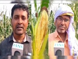 पीएम मोदी से प्रेरित होकर मोटे अनाजों की खेती कर रहे किसान, पहले से ज्यादा हो रहा मुनाफा  पीएम मोदी से प्रेरित होकर मोटे अनाजों की खेती कर रहे किसान, पहले से ज्यादा हो रहा मुनाफा