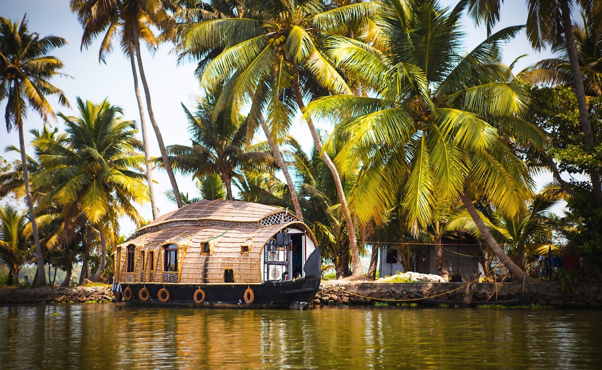 Photo: iStock Photo: iStock