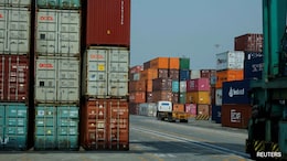 China Boosts Indian Rapeseed Meal Purchases After Tariff On Canadian Imports