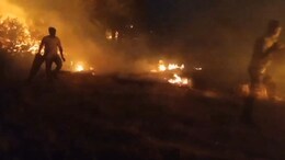 Pratapgarh Fire: प्रतापगढ़ में आग का तांडव, गेहूं के खेत में लग गई आग, बार-बार कॉल पर भी नहीं पहुंची फायर ब्रिगेड
