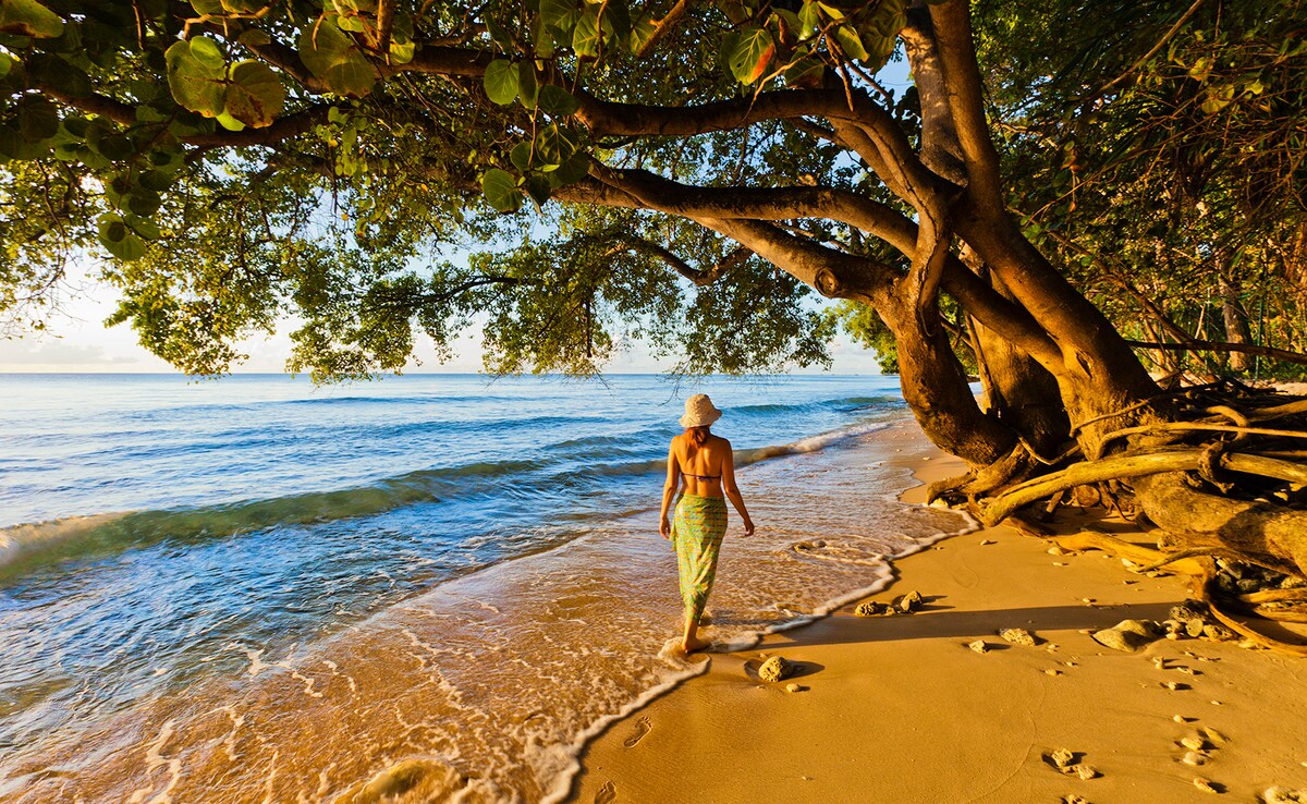 Barbados. Photo: iStock Barbados. Photo: iStock