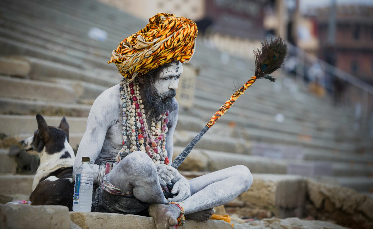 Photo: Pexels Photo: Pexels