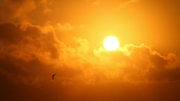 UK To Dim Sunlight In Bold Plan To Cool Earth But Scientists Are Not Amused
