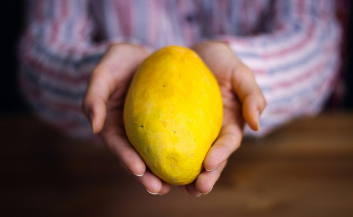 Latest and Breaking News on NDTV Latest and Breaking News on NDTV