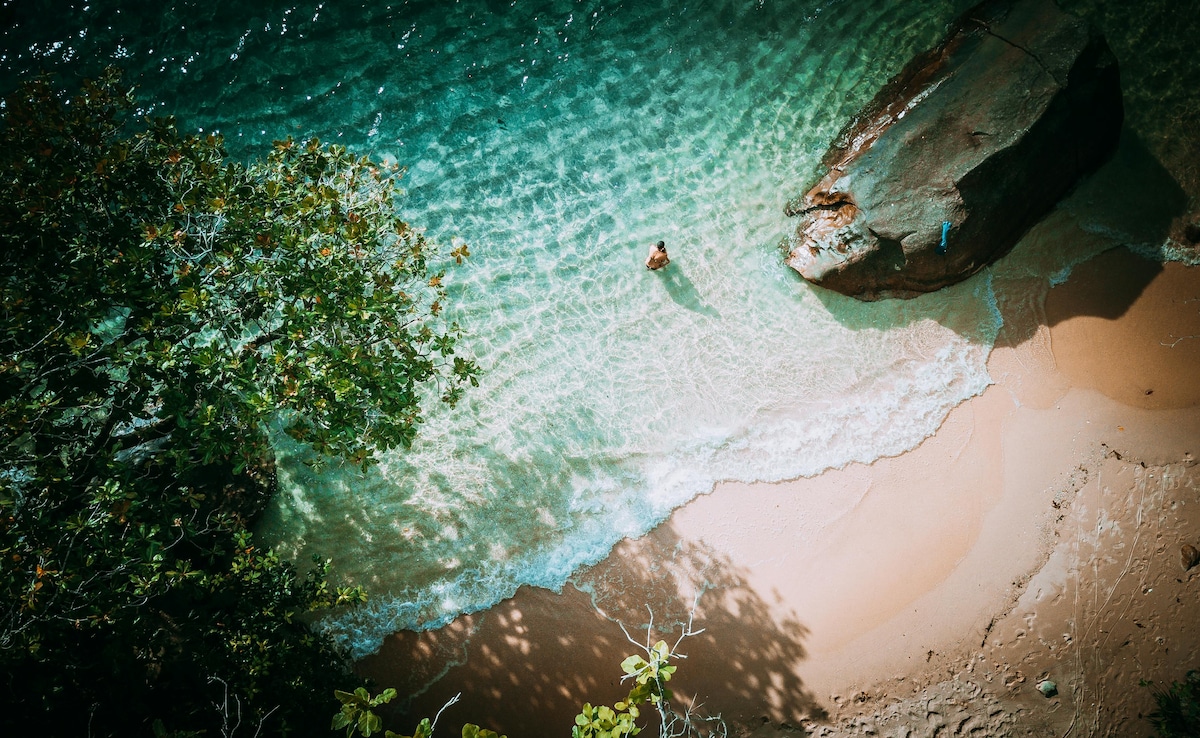 Seychelles. Photo: Pexels Seychelles. Photo: Pexels