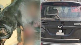 UP Man Drags German Shepherd By Car For Barking At His Child In Greater Noida