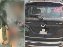 UP Man Drags German Shepherd By Car For Barking At His Child In Greater Noida UP Man Drags German Shepherd By Car For Barking At His Child In Greater Noida