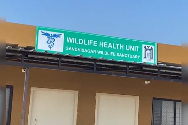 Latest and Breaking News on NDTV Latest and Breaking News on NDTV