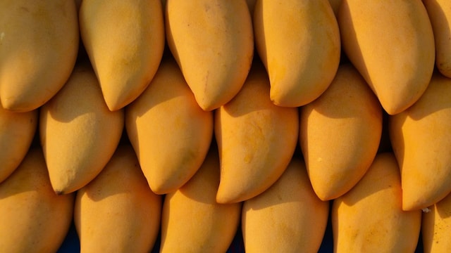 Diabetics can safely eat mangoes by maintaining portion control